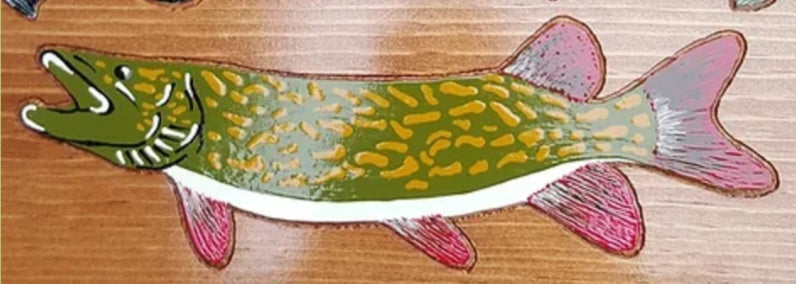 Flash Fish