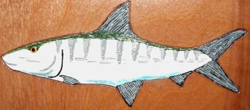 Flash Fish