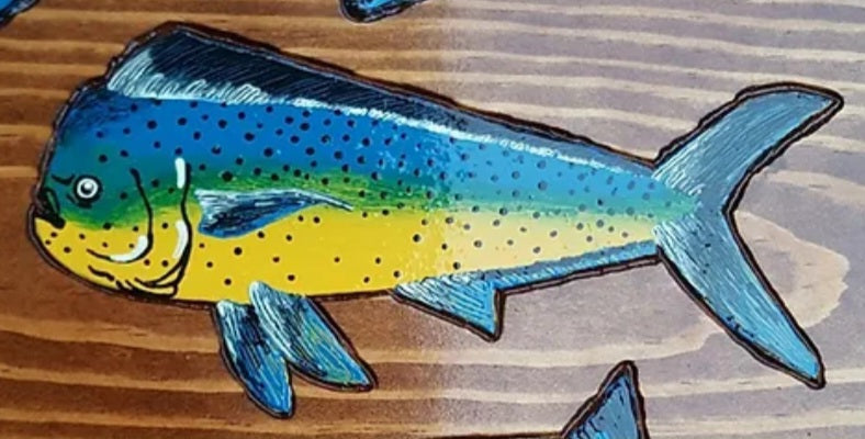Flash Fish