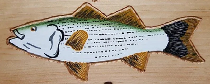 Flash Fish