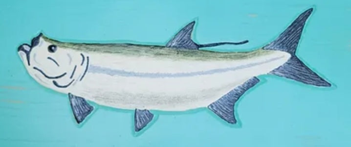 Fish Spool Racks