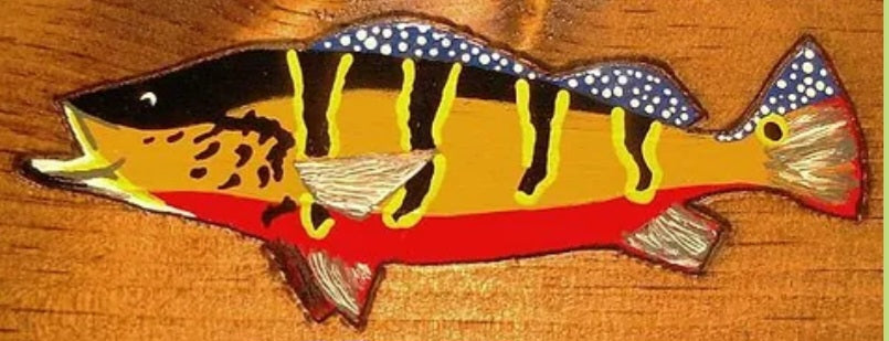 Flash Fish