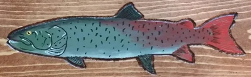 Flash Fish