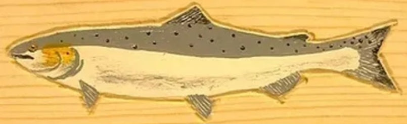 Flash Fish