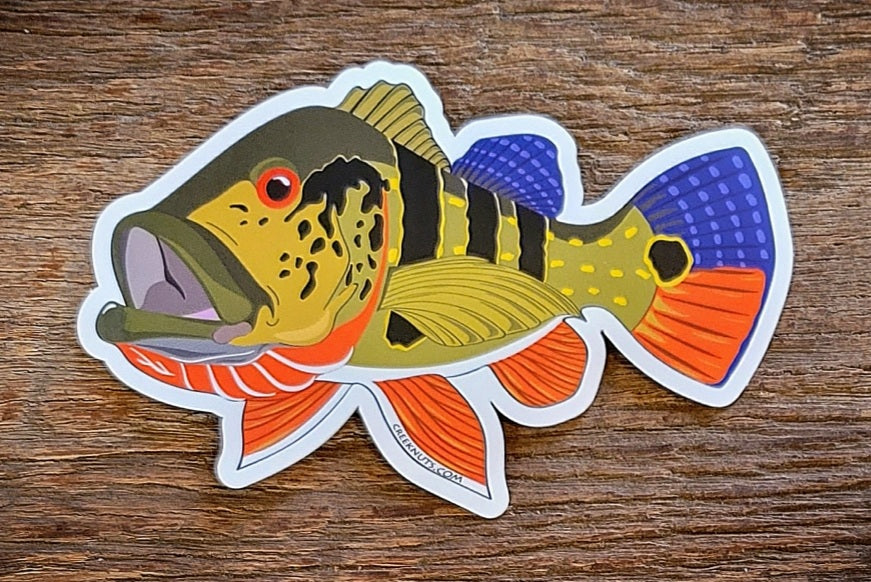 Peacock Bass Stickers – Creeknuts.com