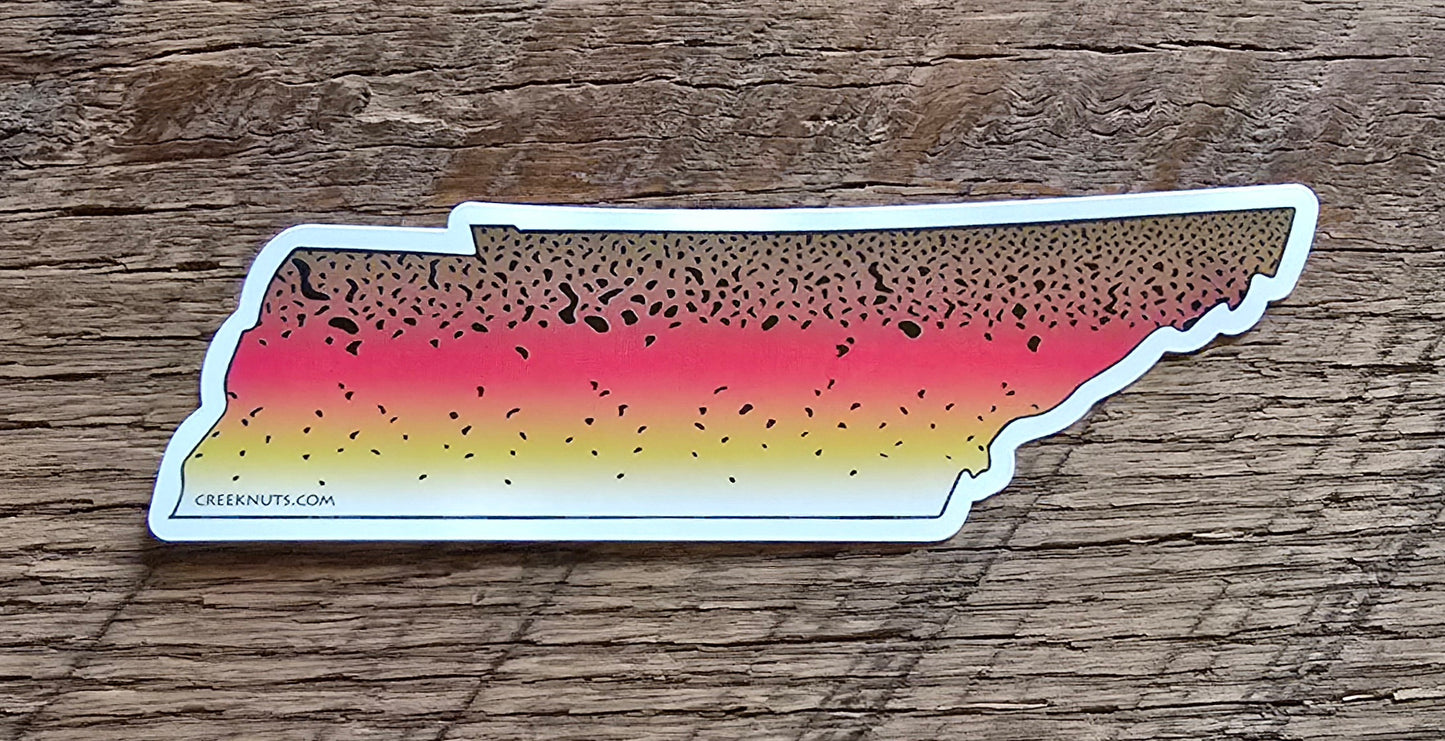 Tennessee Rainbow Trout Sticker