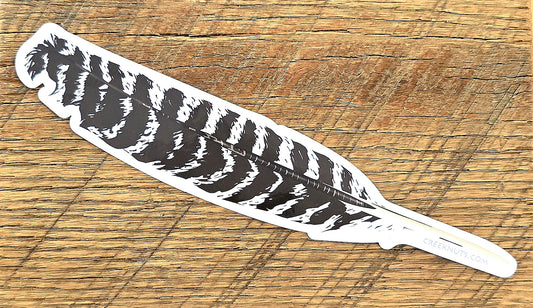 Turkey Wing Feather