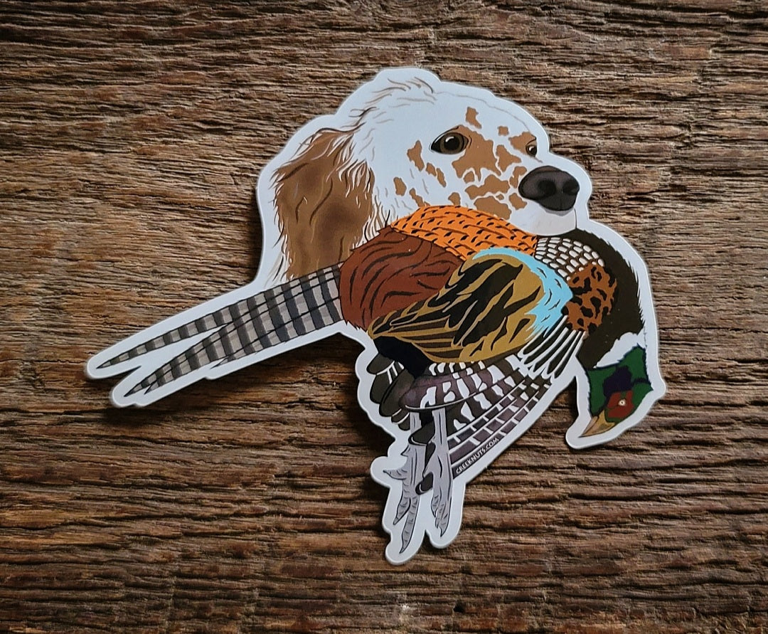 Red English Setter with Pheasant Sticker