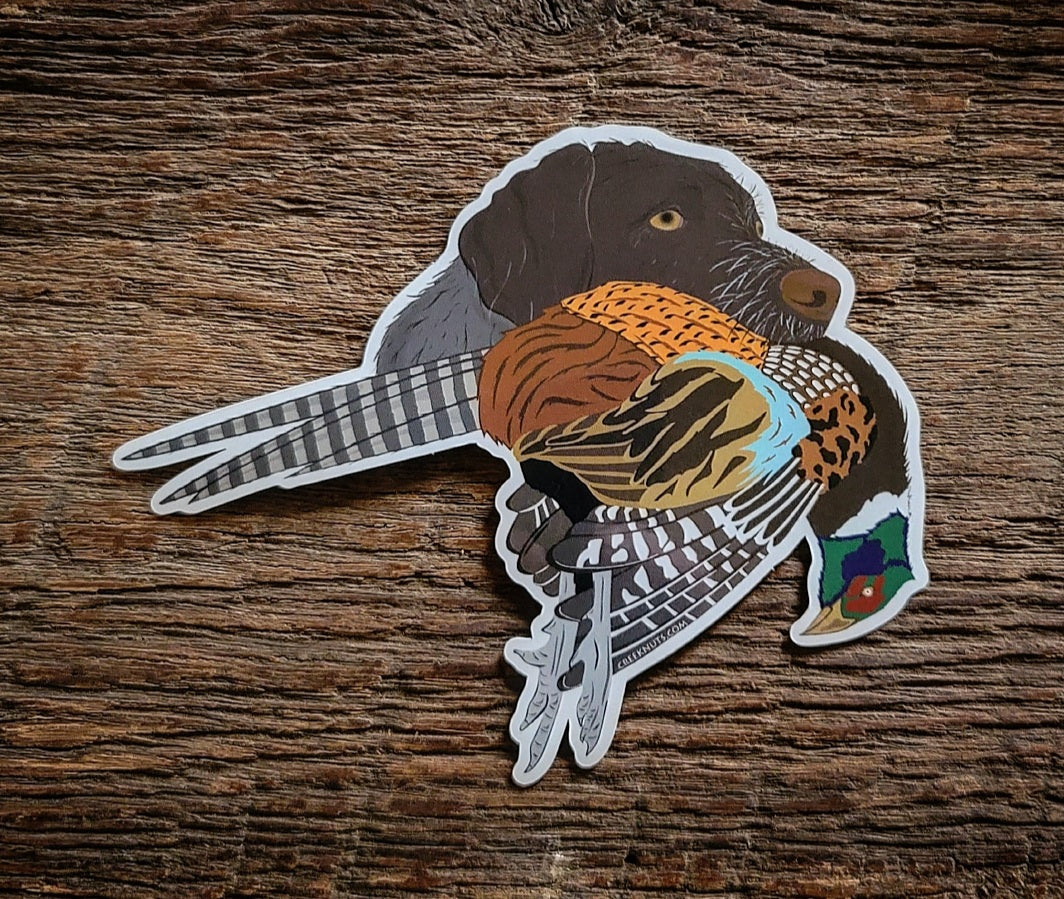 German Wirehaired Pointer with Pheasant Sticker