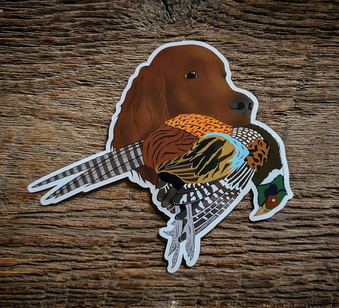 Irish Setter with Pheasant Sticker