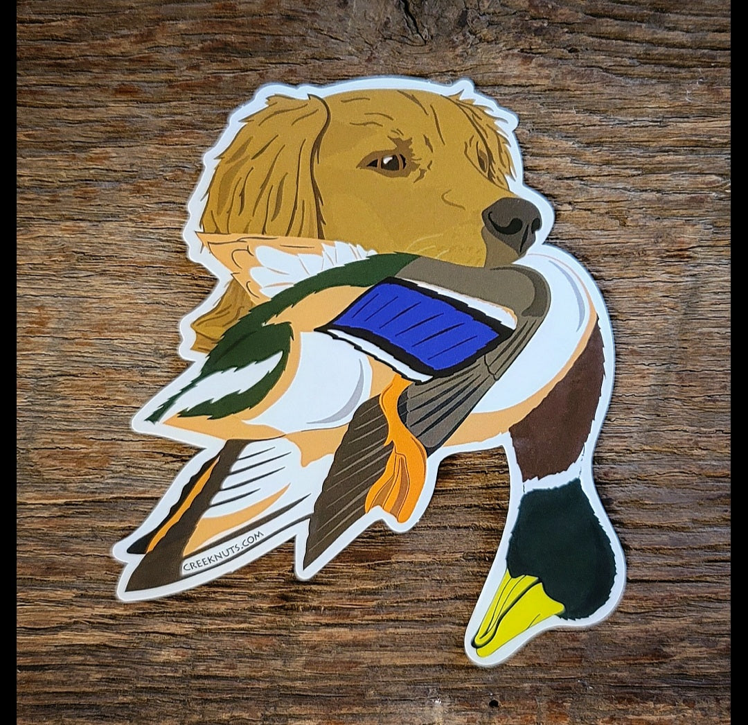 Golden Retriever with Mallard Duck Sticker