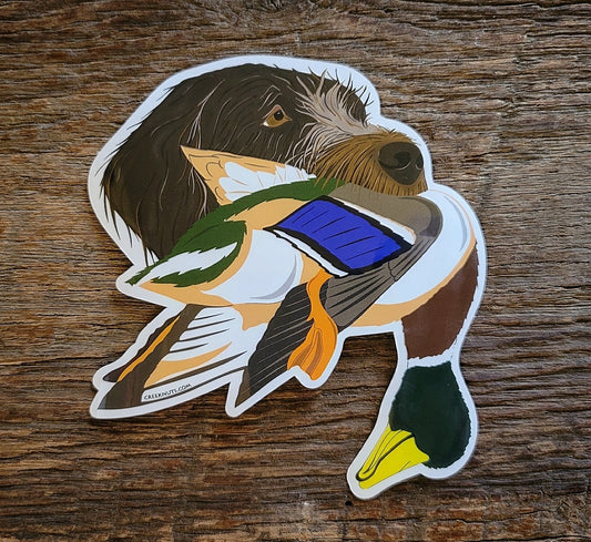 Griffon with Mallard Duck Sticker