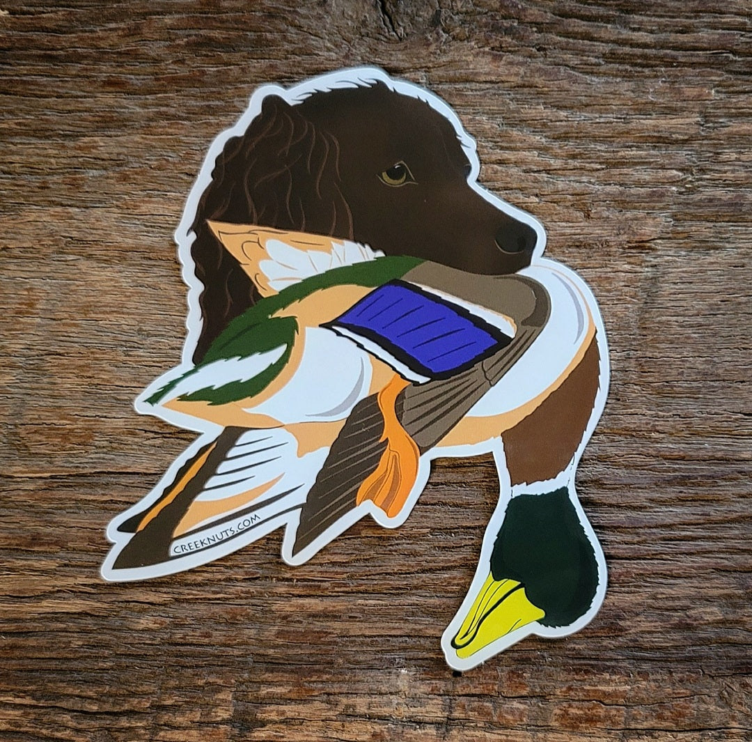 Boykin Spaniel with Mallard Duck Sticker