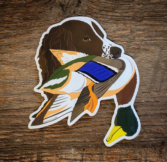 Springer Spaniel with Mallard Duck Sticker