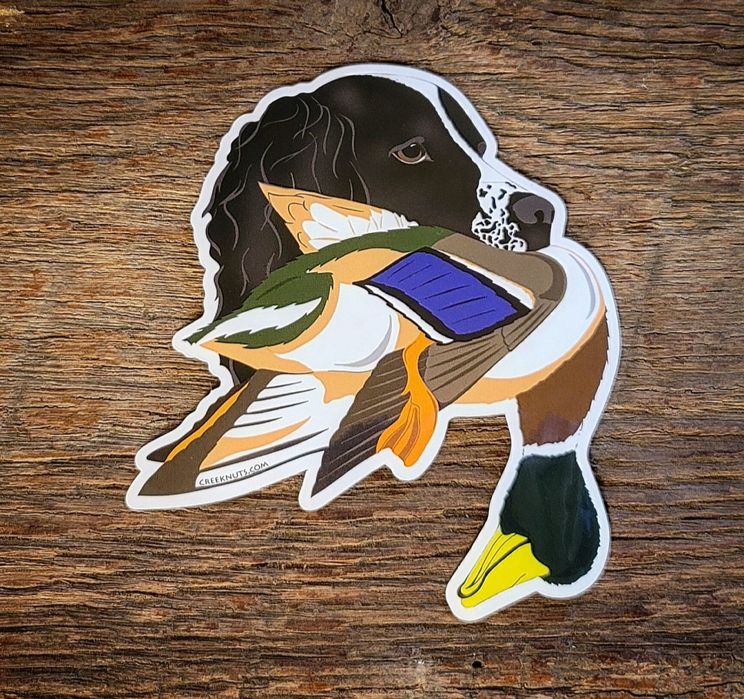 Black Springer Spaniel with Mallard Duck Sticker