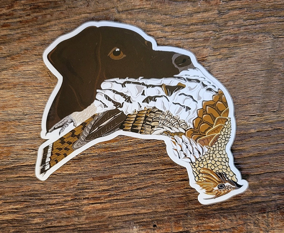 Liver German Shorthaired Pointer with Grouse Sticker