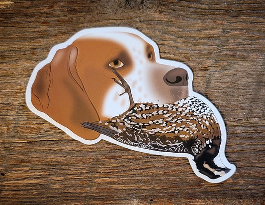 English Pointer with Quail Sticker