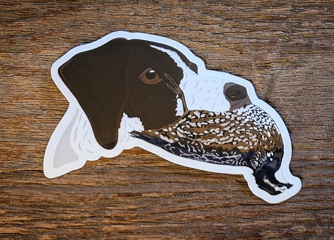 German Shorthaired Pointer with Quail Sticker