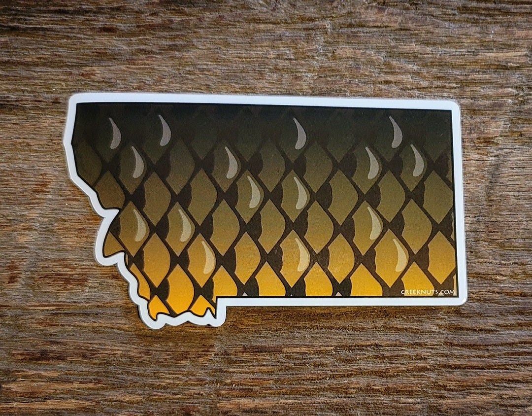 Montana Carp Sticker