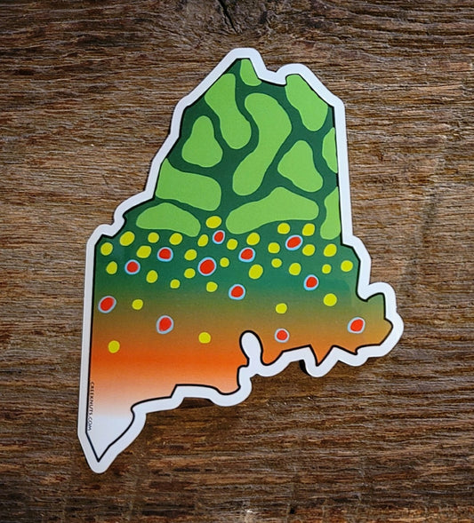 Maine Brook Trout Sticker