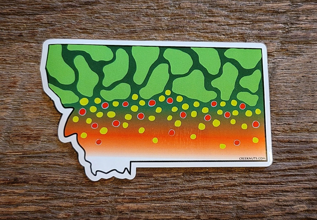 Montana Brook Trout Sticker