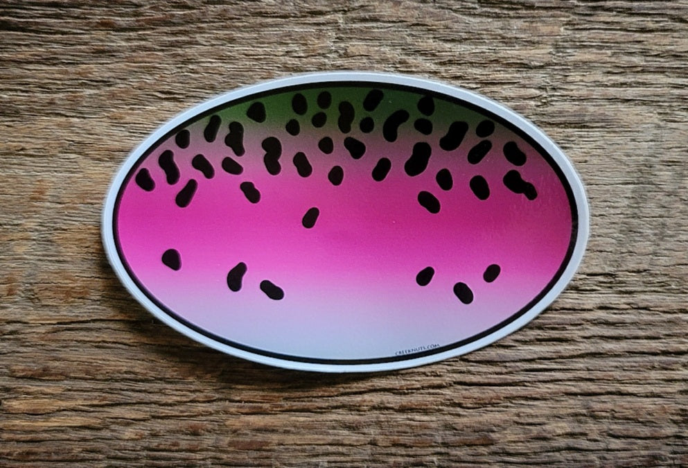 Rainbow Trout Oval Skin Sticker
