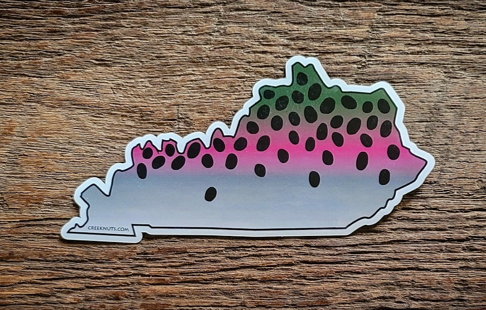Kentucky Rainbow Trout Sticker