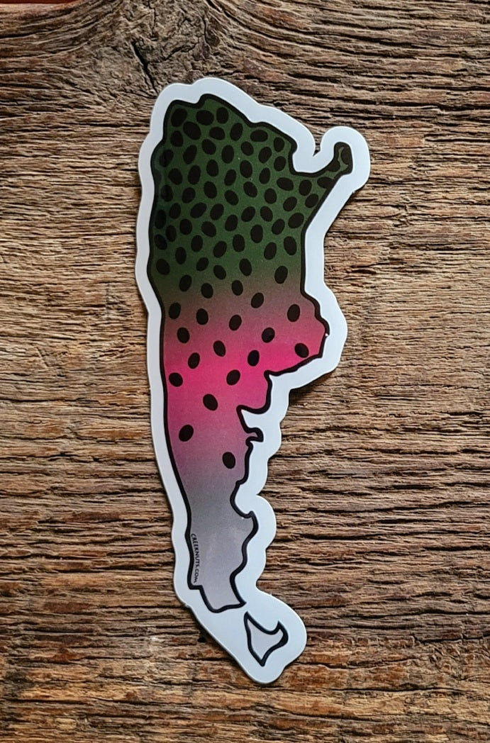 Argentina Rainbow Trout Sticker