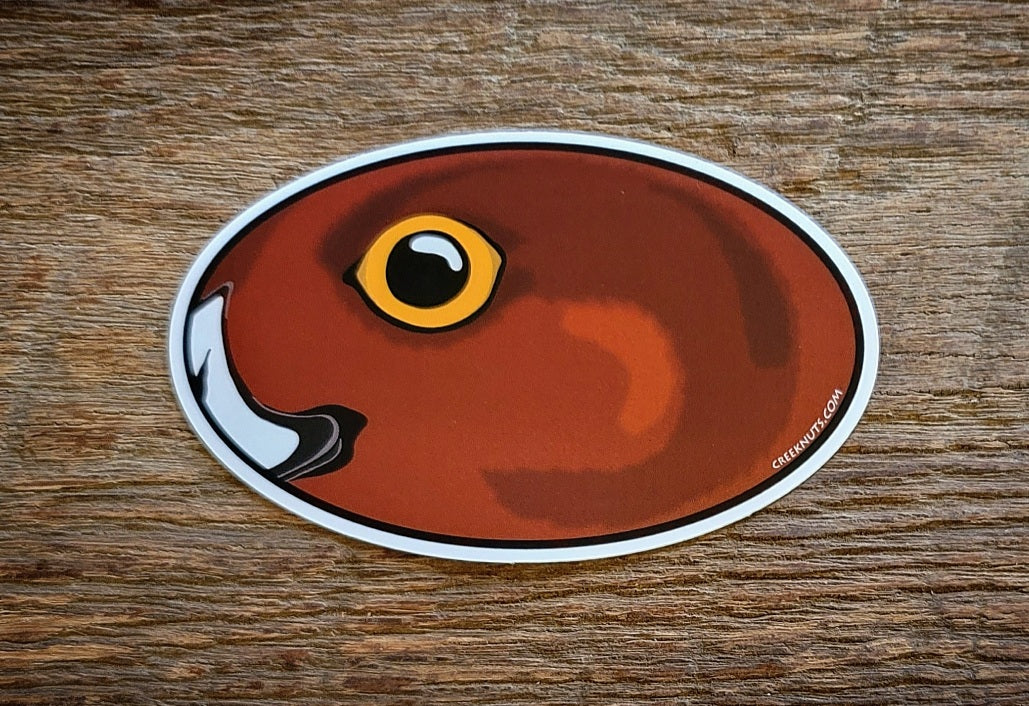 Redhead Duck Oval Skin Sticker