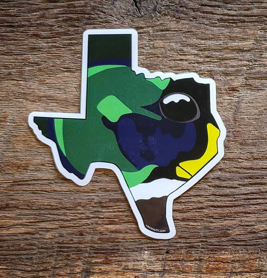 Texas Mallard Duck Sticker