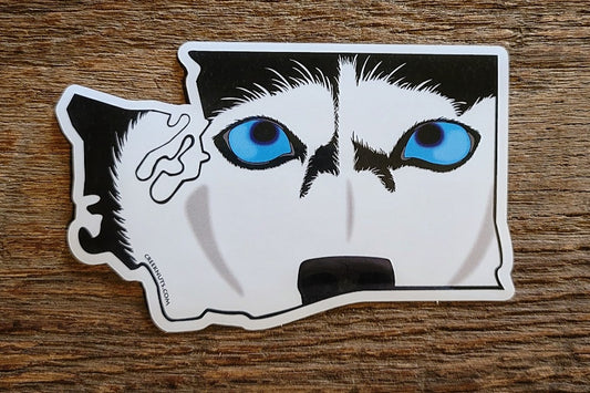 Washington Husky Sticker