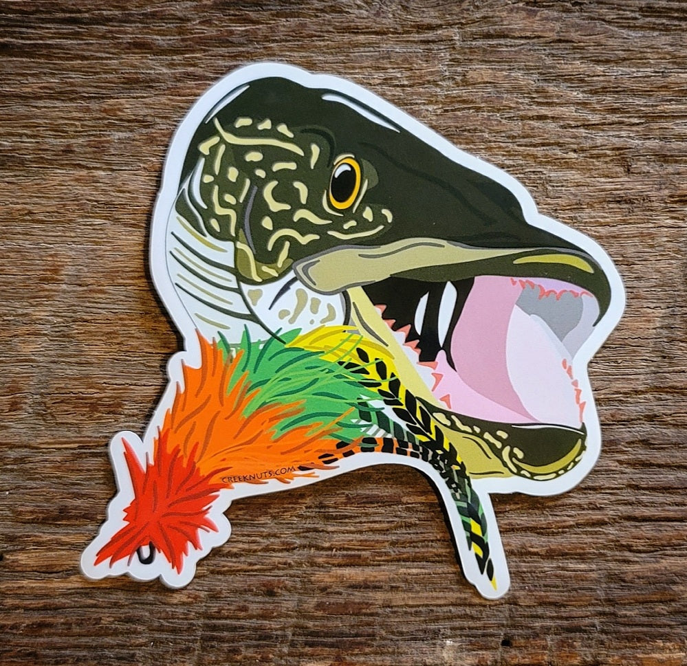 Northern Pike with Fly Stickers