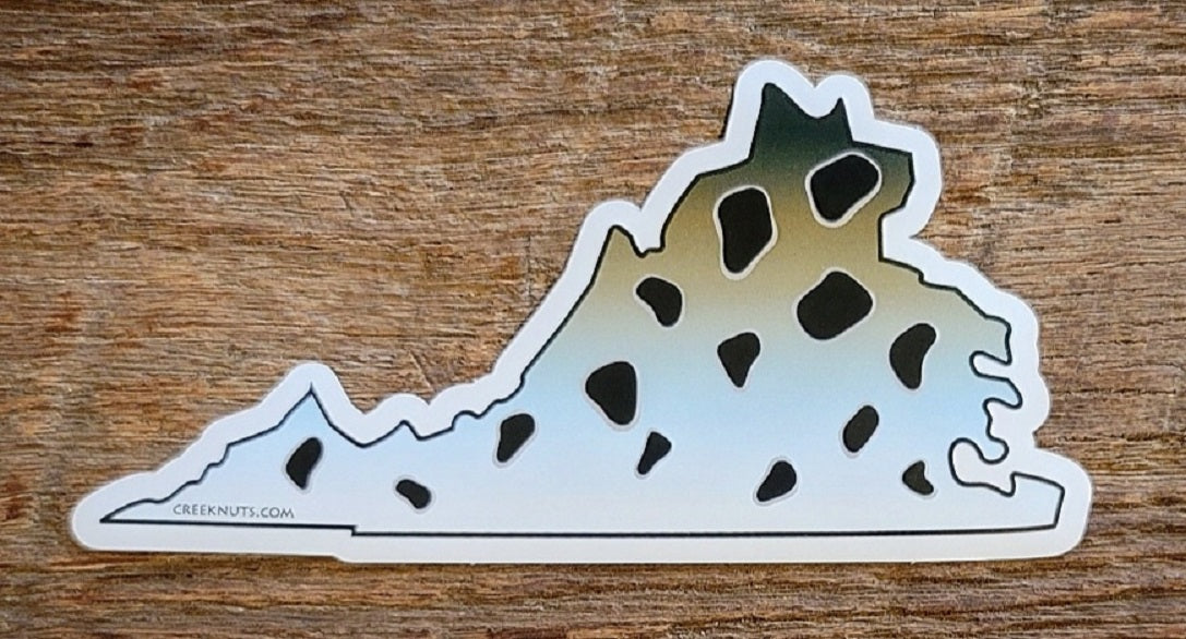 Virginia Speckled Sea Trout Sticker