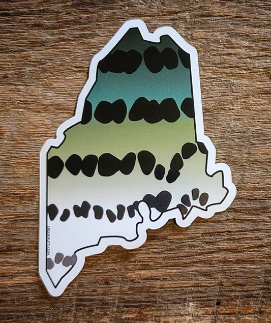Maine Striper Sticker