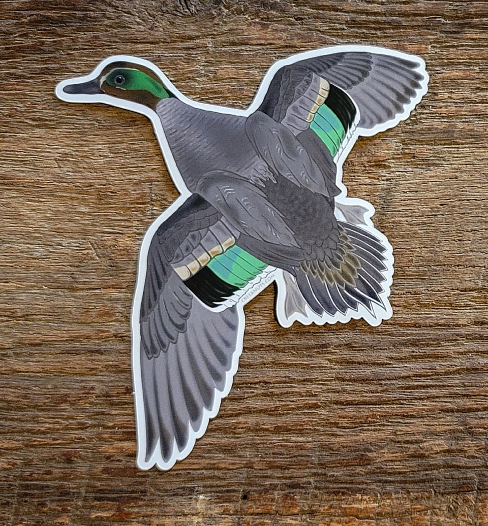 Flying Edge Sticker Flying Green Wing Teal Duck Sticker – My Store