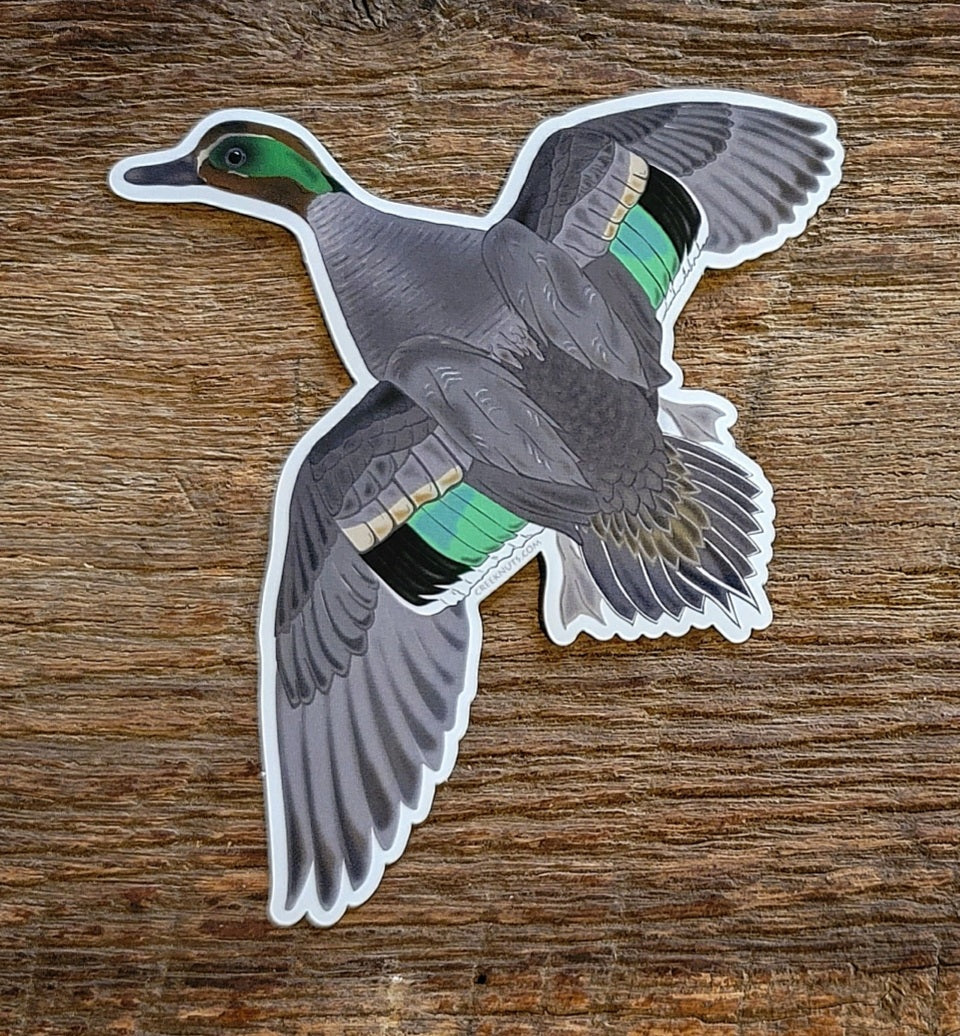 Flying Green Wing Teal Duck Sticker
