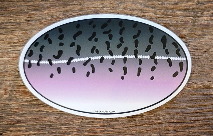 Coho Salmon Oval Skin Sticker