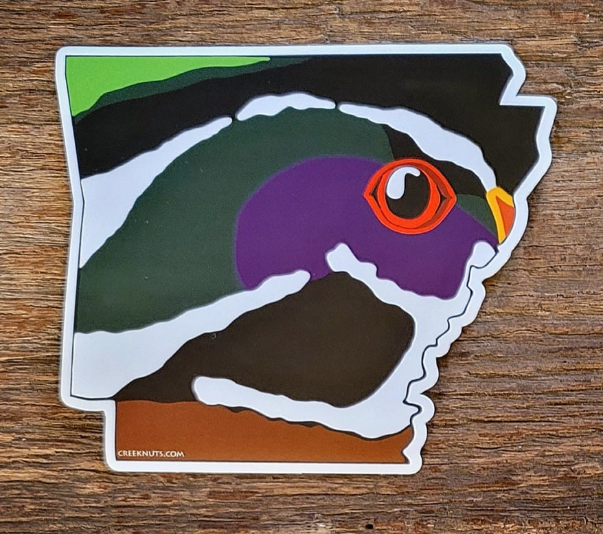 Arkansas Native Sticker Arkansas Wood Duck Sticker – Creeknuts.com