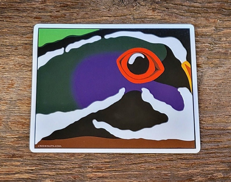 Colorado Wood Duck Sticker