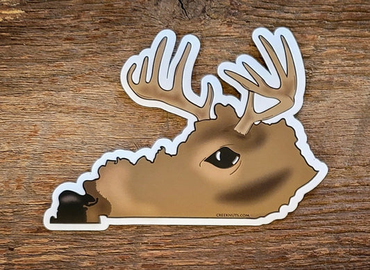Kentucky Whitetail Buck Sticker