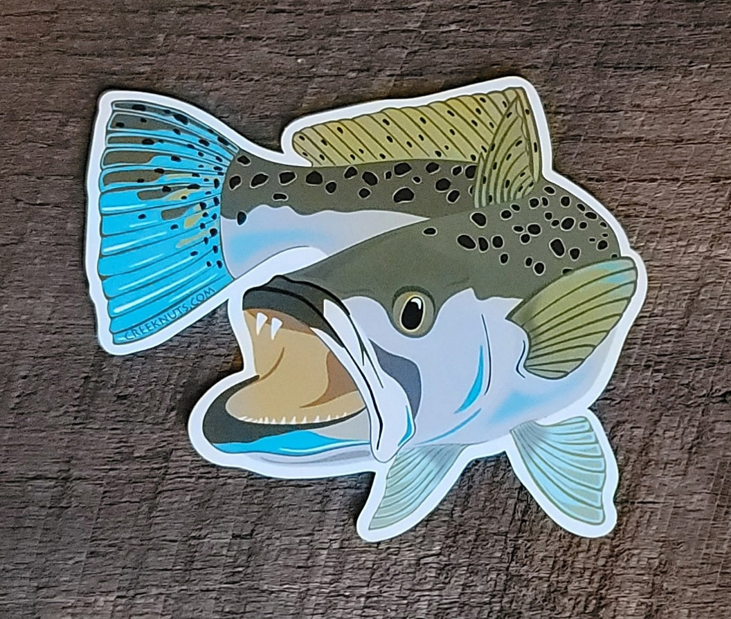 Speckled Sea Trout Sticker