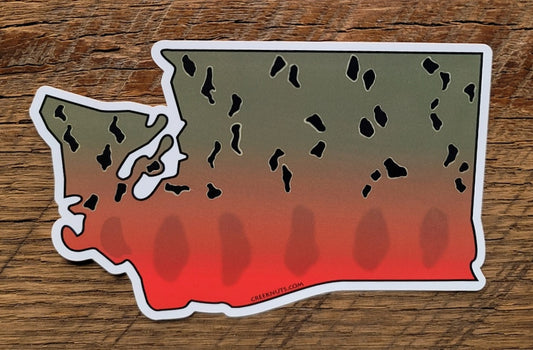 Washington Chinook Salmon Sticker