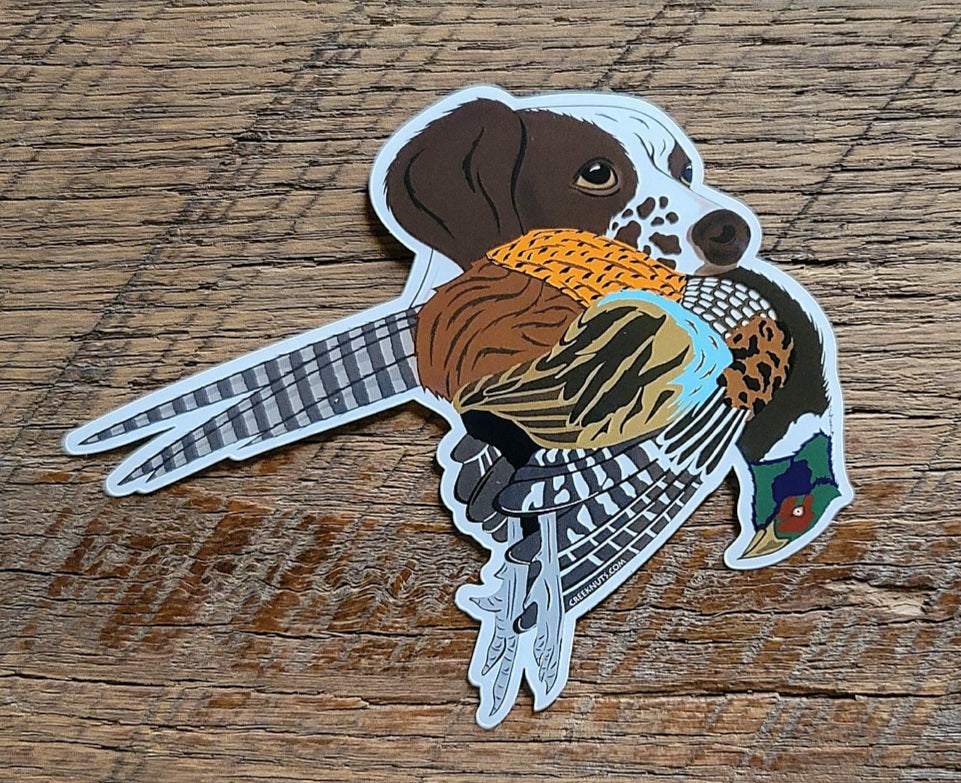 Liver Brittany Spaniel with Pheasant Sticker