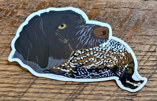 German Wirehaired Pointer with Quail Sticker