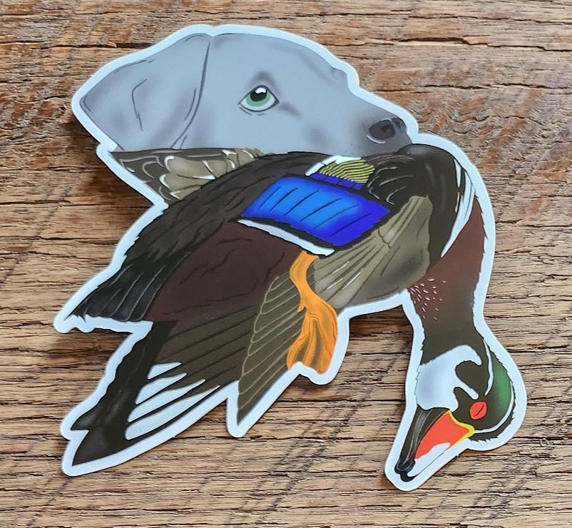 Silver Labrador Retriever with Wood Duck Sticker