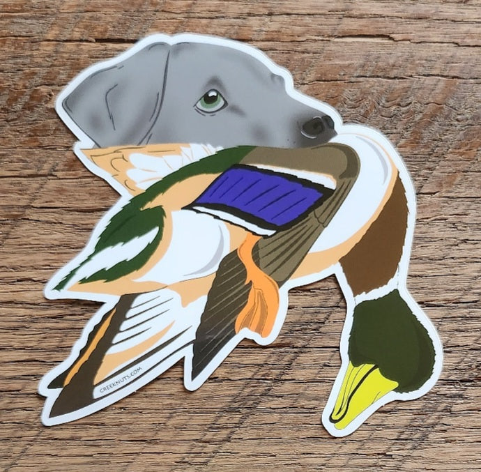 Silver Labrador Retriever with Mallard Duck Sticker