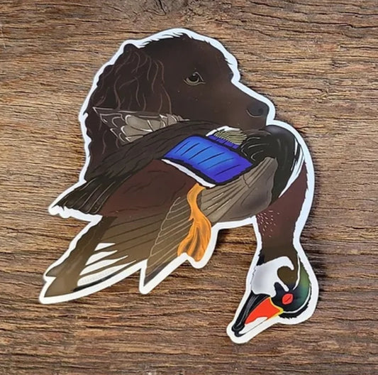 Boykin Spaniel with Wood Duck Sticker