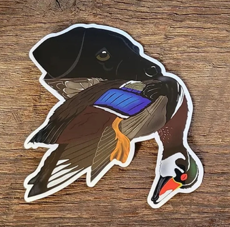 Black Labrador Retriever with Wood Duck Sticker
