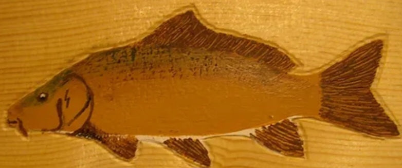 Hand-Painted Warmwater Fish